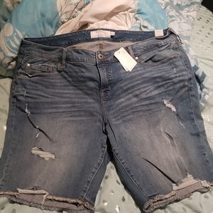 Torrid size 20 Bermuda Shorts